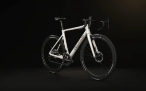 Σκελετός V4Rs